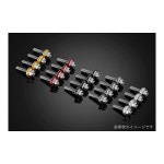 BIKERS(바이커즈) 스크린 볼트 ADV150 스테인리스제 그린 4개 BK-C0409-GRN : -영원물산-
