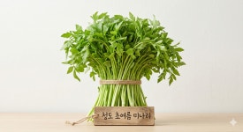 국산 미나리 청도 초여름 미나리 2kg : 보아스네농장