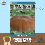 [맷돌호박 씨앗 30립] 불로맷돌호박 텃밭씨앗 그린하트바이오 : 형제비료