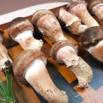 참송이버섯 최상급 송이 상품 선물용 500g 1kg 국내산 송이버섯 : 참송이농장