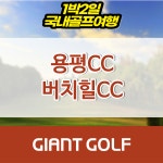 강원도골프패키지 용평cc 버치힐cc 1박2일 36홀 : 국내 해외골프 부킹예약센터