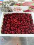 포항 송라 보경 GAP인증 특A급 산딸기 1kg : 봉봉이네팜