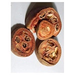 URANTEX 루단티 루드라반티 리토랄 바인드 위드 크레사 150G 크레티카 루다티카 : 다안다 plus