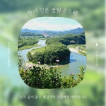 [영월 산지직송] 삶은 국산 곤드레 나물, 해동 후 간편 조리 4kg, 3개 : 광원 곤드레 농원