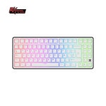 RK 로얄 클러지 X87 스페인어 유선 기계식 키보드 80% 86키 RGB  가스켓 핫스왑 게이밍 PBT 키캡 : 원드림종합상사2