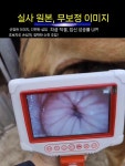 가축 인공수정 주입기 교배 한우 젖소 축산기 번식기 : 한오글로발