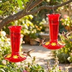 야외 행잉을 위한 GBEKERY 10온스 유리 개미 모이통 정원 2팩, 엄마를 Red 1 Pack : 다담다.