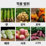 업소용 절단기 농산물 파채 채소 야채 : 패스트몰0