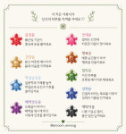 거북이 키링파우치 지퍼파우치 유리공병 행운거북등록증 행운글귀 랜덤깡포장봉투 행운거북이 : 리몽마켓