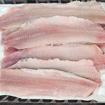 생물 청어회 500g 세꼬시 회무침 필렛 막회 : 옥도리네