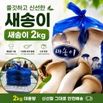 당일경매 국내산 새송이버섯 신선한 버섯 경매후바로발송 구이용 볶음용 가정용 : 주식회사 오케이농산