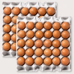 쫄깃 촉촉 구운계란 구운란 대란 30구+30구 (총 2판) : 대한민국농수산