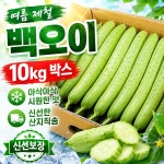 당일경매 국내산 백오이 신선한 오이 경매후바로발송 무침용 생식용 가정용 : 주식회사 오케이농산