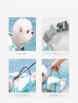 구명조끼 강아지 대형견 수영복 테디 비숑 코 : 콕수글로벌