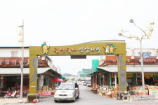 [당일치기] 금강 월영산 출렁다리 + 금산 인삼 시장 : 해뜸여행사