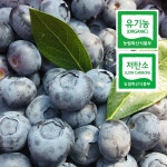 유기농 생 블루베리 중대과 산지직송 2kg : 여가의뜰농장