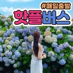 제주도 버스투어 패키지 제주여행 놀거리 원데이 택시관광 우도전기차 액티비티 투어패스 올패스 : 핫플트립