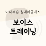 보이스트레이닝 대면 오프라인 1:1 개인 수업 목소리 발성 발음 교정 원데이클래스 : 아나레슨스피치학원