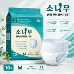 소나무 언더웨어 펜티형 성인용 기저귀 중형(10매, 1팩) : 참조은 기저귀