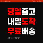멸공 굿즈 대한민국 박정희 대통령 애국 갤럭시 버즈 2 세대 라이브 프로 FE 케이스 : NEW DESIGN