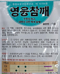 참깨모종/영웅참깨 200구 포트 : 두레농약종묘센터
