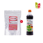 [꿀조합특가] 첫맛 만능김치찌개분말 500g + 만능파절이소스 970g : 첫맛공식스토어