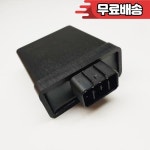 야마하 오프로드 자전거용 오토바이 CDI 미니 TTR50 50CC 엔진 1P6 H5540 00 00 : 육오바이크