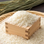 안성정미소 고향 안계쌀 백미 햅쌀 10kg, 1개 : 원픽대장
