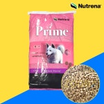 뉴트리나 프라임 강아지 특수 대형 견 대용량 사료 진도, 15kg, 1개 : 주라 ZOORA