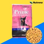 뉴트리나 프라임 강아지 특수 대형 견 대용량 사료 특수견, 15kg, 1개 : 주라 ZOORA