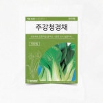 주말농장 텃밭 채소재배 파종 주강 청경채 가정용 베란다 : 나이스데이스토리