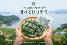 [냉동쑥]국내산 쑥 조도 해풍 쑥떡용 생쑥 소분쑥 18kg, 1개(3kg x 6개입) : 혜훈농산