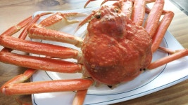 최상급 러시아 대게 마가단 박달대게 시세 2kg 러시아산 수율 90% 대사이즈 : 싱싱농수산마트
