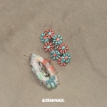 유니스플라워앤디자인단 | [flower] 플라워 : Bien-unni
