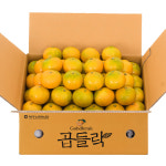 농협 홀푸드 상계점 | [AI 품질 당도선별!] 제주남원농협 하우스감귤 소과 2kg (3S) : 홀푸드 마켓