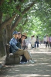안동시티투어 하회마을권역 : 안동시티투어