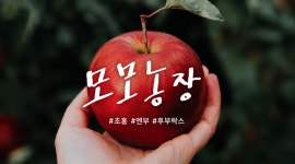 [한정판매]  프리미엄 초홍 사과  새콤달콤 햇사과 정품, 못난이 : 스마일사과