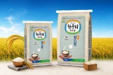 파주농협 한수위파주쌀 참드림 10kg 경기미 : 주식회사 온밀