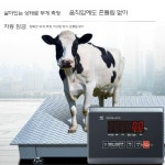 바론중량 톤백저울 농업용 가축 무게 측정 농가형 전자 축산용 돼지 체중계 1톤 1.5m : 글로벌온유