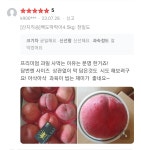 [산지직송] 임금농장 프리미엄 영천 노지 복숭아 2kg 4kg 신비 납작 딱딱이 말랑이 거반도 대극천 천도 황도 : 임금농장