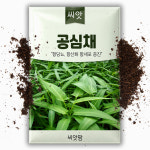 공심채씨앗 10g 공심채씨 모닝글로리 동남아 아열대 채소 이색 채소 종자 : 씨앗팜