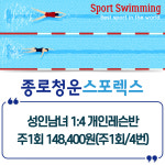 성인남녀 수영 1:4 개인레슨 주1회 : 종로청운스포렉스