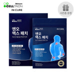 셀트리온 인큐어 엔오 맥스 패치 32매 프리미엄 산화질소 패치 기능성 파스 관절염 : 디귿이응 DI