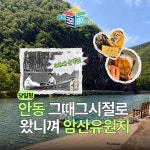 [안동] 레트로 암산 유원지에서 함께 즐기는 로컬 체험 여행 경북 단체여행 : 길과 마을