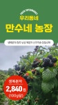 [KBS 6시 내고향] 2026년 햇 토종 복분자 청주 낭성 (2kg) : 만수네 농장