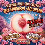 제철 신비복숭아 당일출고 1kg, 2kg 농장직배송 : 백산농원 써니팜