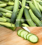 오이 백오이 백다다기 오이지 특품 50개 당일수확 산지직송 : 달려라 선두농장