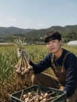 26년 수확 100% 해남 햇마늘 벌마늘 난지형 반접 한접 늘품농장 : 해남 늘품