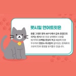 첨가물 없는 강아지 동결건조 간식 펫시밀 치킨 텐더, 20g, 5개 : 루비앙펫