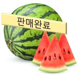 [5월말 배송상품]프리미엄 고창수박 형주네 선별 13브릭스이상 7.5kg, 1개 : 형주네멜론농장